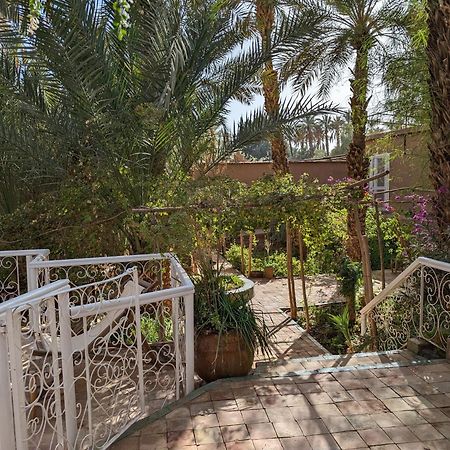 Villa Zagora Ma Villa Au Sahara Экстерьер фото