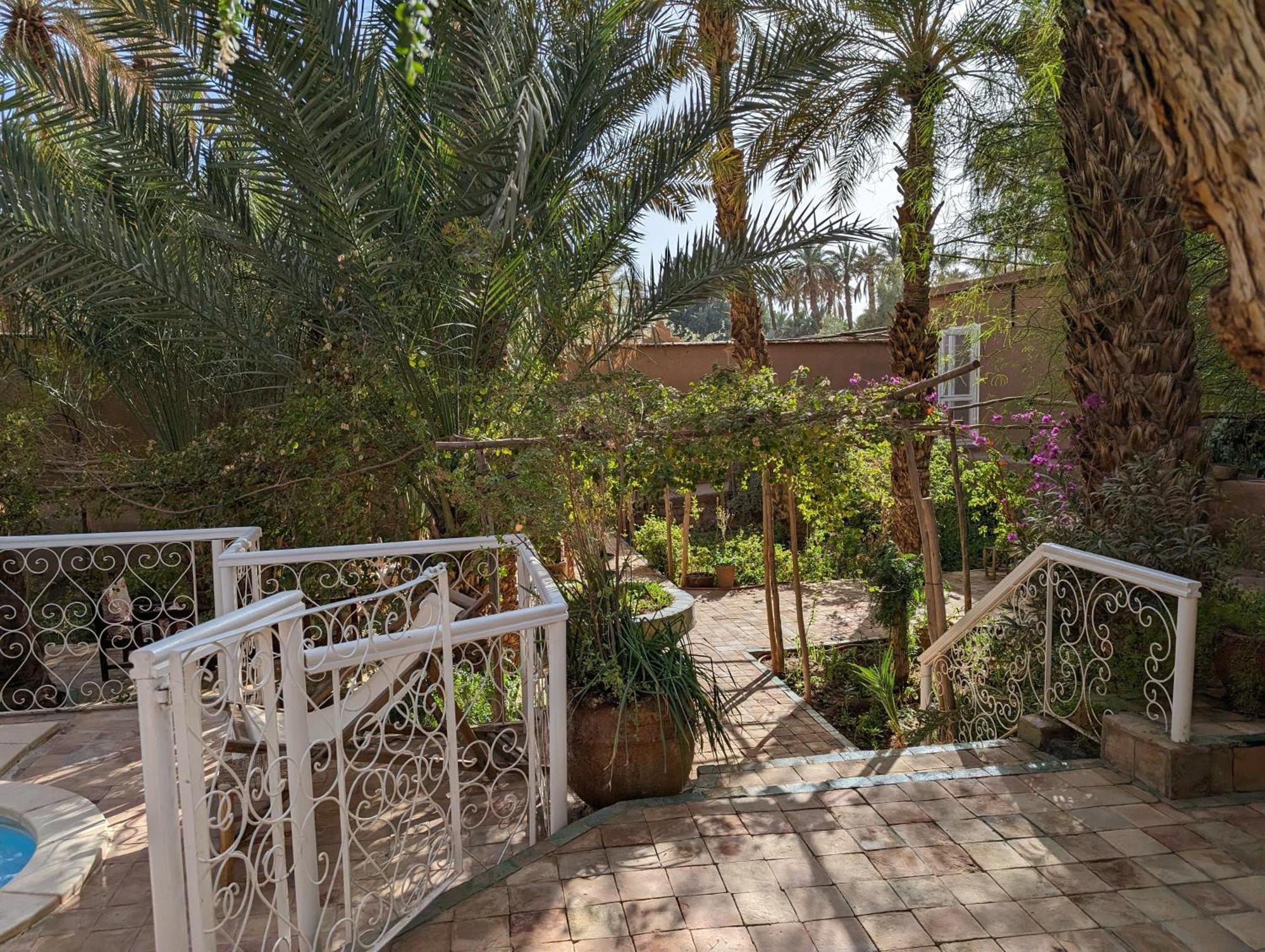 Villa Zagora Ma Villa Au Sahara Экстерьер фото