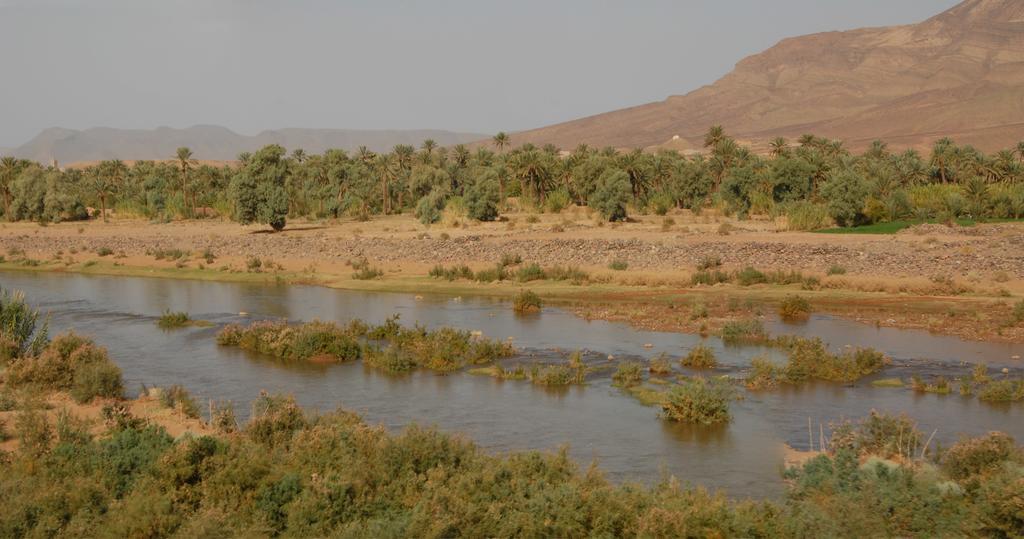 Villa Zagora Ma Villa Au Sahara Экстерьер фото