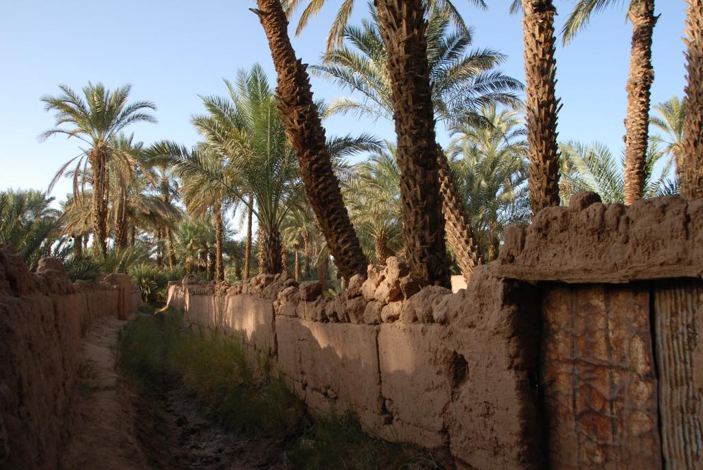 Villa Zagora Ma Villa Au Sahara Экстерьер фото