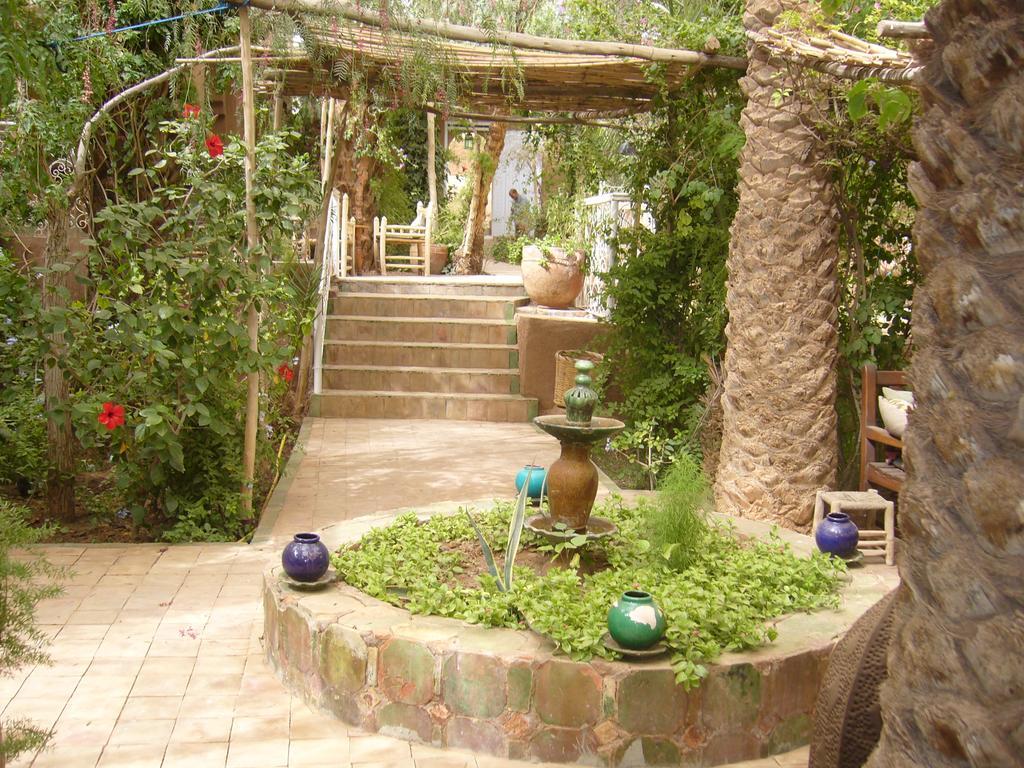 Villa Zagora Ma Villa Au Sahara Экстерьер фото