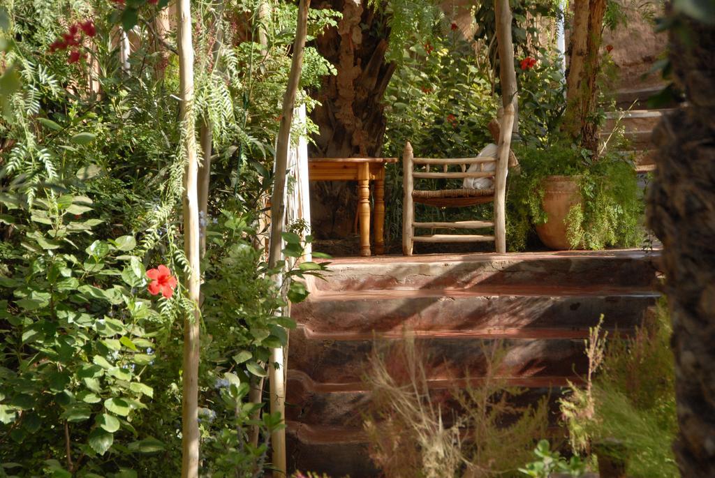 Villa Zagora Ma Villa Au Sahara Экстерьер фото