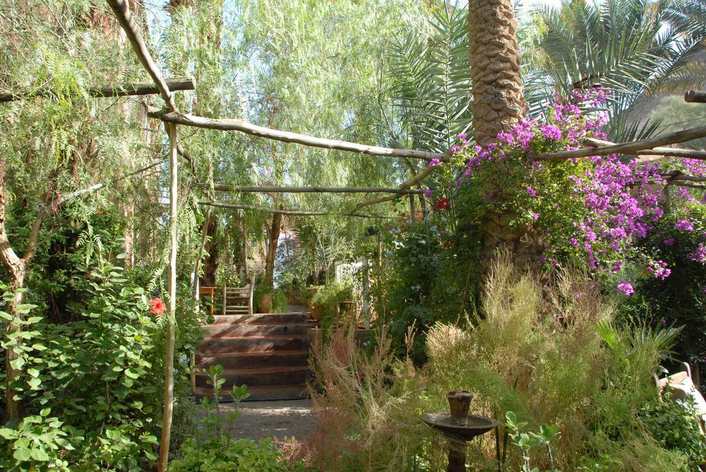 Villa Zagora Ma Villa Au Sahara Экстерьер фото