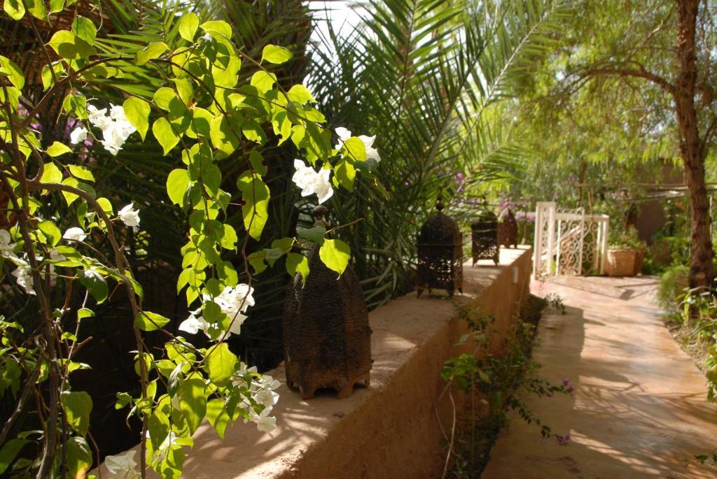 Villa Zagora Ma Villa Au Sahara Экстерьер фото