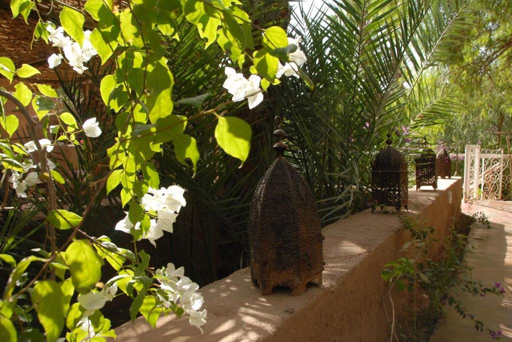 Villa Zagora Ma Villa Au Sahara Экстерьер фото