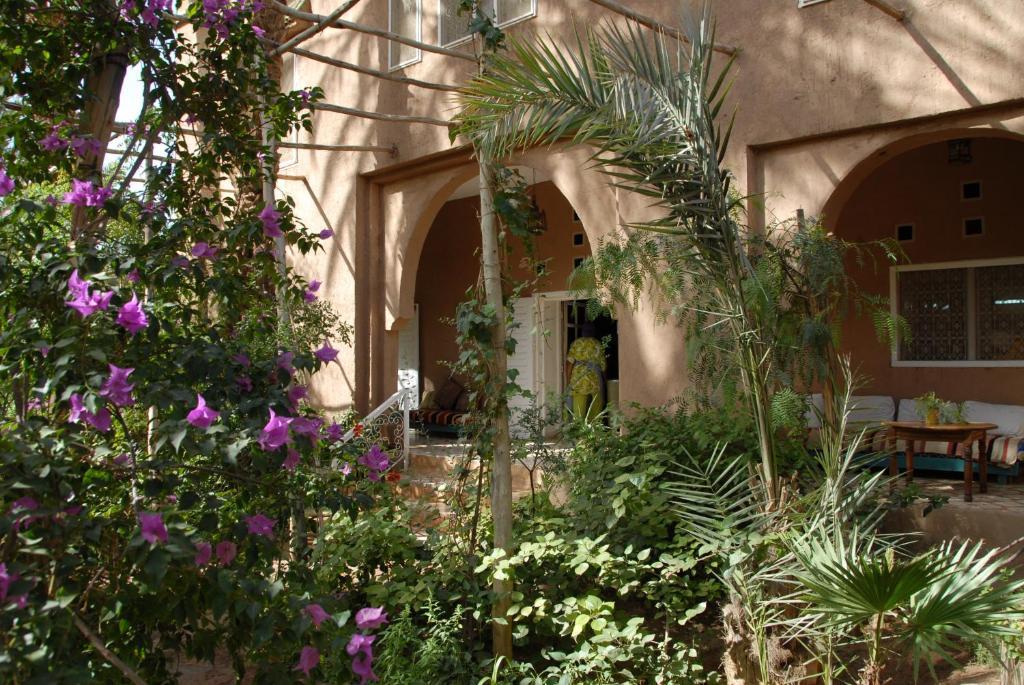 Villa Zagora Ma Villa Au Sahara Экстерьер фото